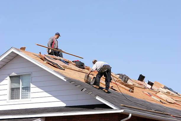 Roof Coating Services in Algonquin, MD